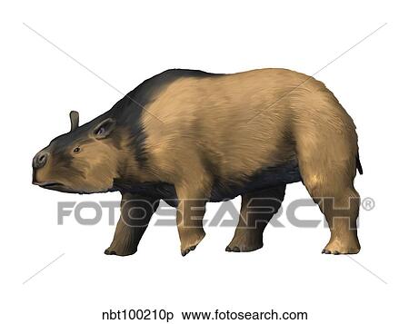 Toxodon is an extinct mammal from the Pleistocene epoch. View Large Illustration Stock Illustration - Toxodon is an extinct mammal from the Pleistocene epoch.. Fotosearch