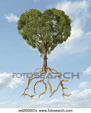 Tree with foliage in the shape of a heart with roots as text Love. View Large Illustration Stock Illustration - Tree with foliage in the shape of a heart with roots as text Love.. Fotosearch