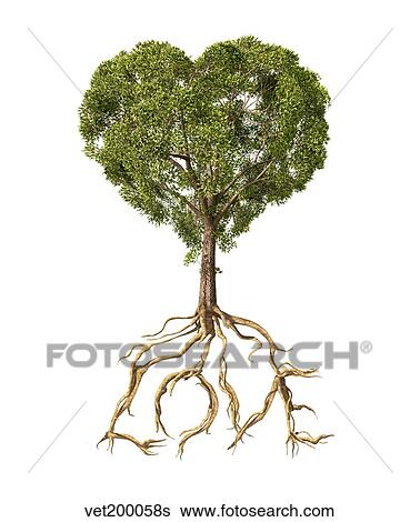 Stock Illustration - Tree with foliage in the shape of a heart with roots as text Love.. Fotosearch