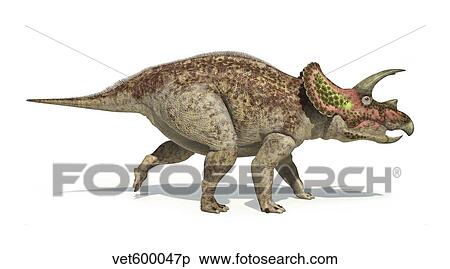 Stock Illustration - Triceratops dinosaur on white background.. Fotosearch