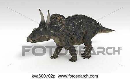 Triceratops dinosaur, white background. View Large Illustration Stock Illustration - Triceratops dinosaur, white background.. Fotosearch