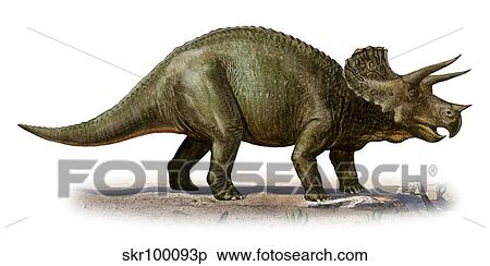 Triceratops prorsus, a prehistoric era dinosaur. View Large Illustration Stock Illustration - Triceratops prorsus, a prehistoric era dinosaur.. Fotosearch