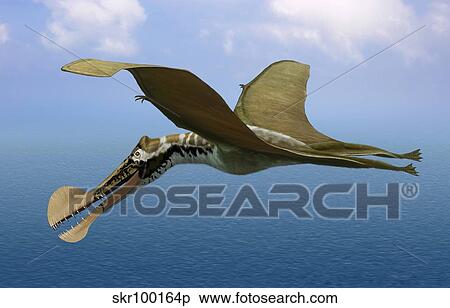 Tropeognathus mesembrinus, a large pterosaur from the Late Cretaceous Period. View Large Illustration Stock Illustration - Tropeognathus mesembrinus, a large pterosaur from the Late Cretaceous Period.. Fotosearch