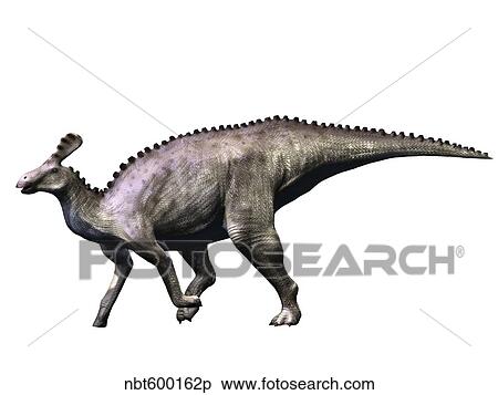 Stock Illustration - Tsintaosaurus dinosaur.. Fotosearch