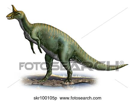 Tsintaosaurus spinorhinus, a prehistoric era dinosaur. View Large Illustration Stock Illustration - Tsintaosaurus spinorhinus, a prehistoric era dinosaur.. Fotosearch