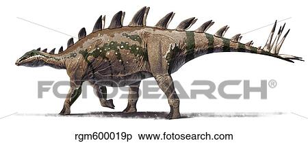 Tuojiangosaurus multispinus dinosaur from Shishugou, China. View Large Illustration Stock Illustration - Tuojiangosaurus multispinus dinosaur from Shishugou, China.. Fotosearch
