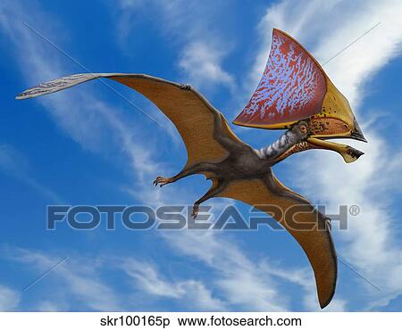 Tupandactylus imperator, a pterosaur from the Early Cretaceous Period. View Large Illustration Stock Illustration - Tupandactylus imperator, a pterosaur from the Early Cretaceous Period.. Fotosearch