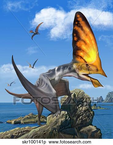 tupandactylus, 栖息, 上, a, 岩石, 在期间, the, 早, cretaceous