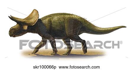 Stock Illustration - Turanoceratops tardabilis, a prehistoric era dinosaur.. Fotosearch