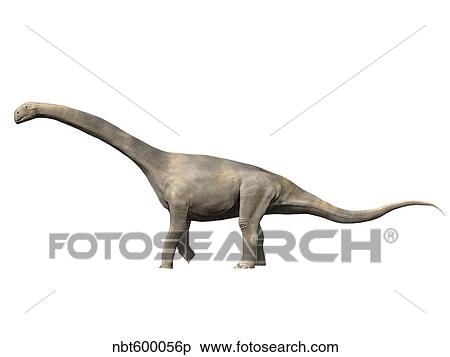 Turiasaurus riodevensis, Late Jurassic or Early Cretaceous of Spain. View Large Illustration Stock Illustration - Turiasaurus riodevensis, Late Jurassic or Early Cretaceous of Spain.. Fotosearch