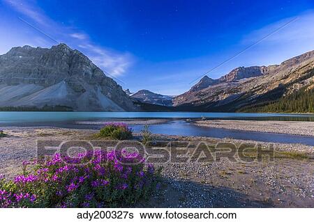 Twilight on Bow Lake, Banff National Park, Canada. View Large Photo Image Stock Photograph - Twilight on Bow Lake, Banff National Park, Canada.. Fotosearch