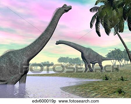 Two Brachiosaurus dinosaurs in landscape with water and palm trees. View Large Illustration Stock Illustration - Two Brachiosaurus dinosaurs in landscape with water and palm trees.. Fotosearch
