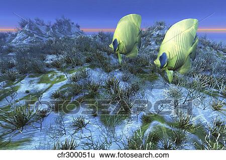 Stock Illustration - Two butterflyfish swim together over an ocean reef.. Fotosearch