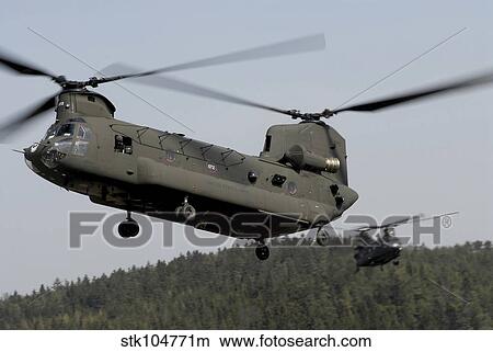 Two CH-47 Chinook helicopters in flight. View Large Photo Image Picture - Two CH-47 Chinook helicopters in flight.. Fotosearch