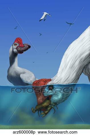 Stock Illustration - Two Citipati's hunting crabs.. Fotosearch
