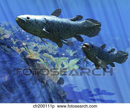Stock Illustration - Two Coelacanth fish swimming undersea.. Fotosearch