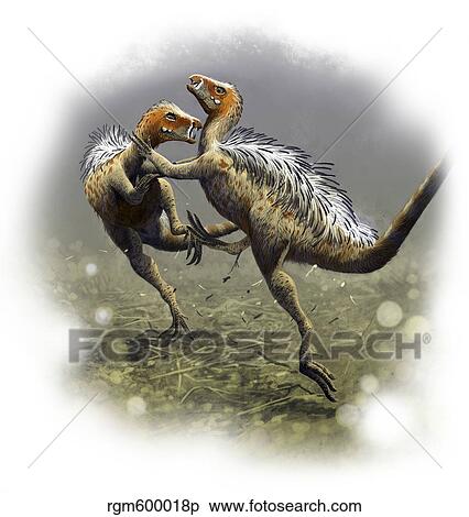 Stock Illustration - Two fighting males of Tianyulong confuciusi.. Fotosearch