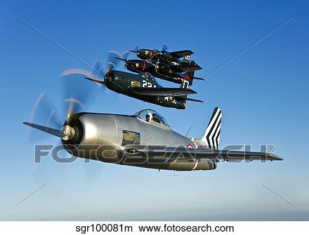 Two Grumman F8F Bearcats and two F7F Tigercats fly in formation. View Large Photo Image Picture - Two Grumman F8F Bearcats and two F7F Tigercats fly in formation.. Fotosearch