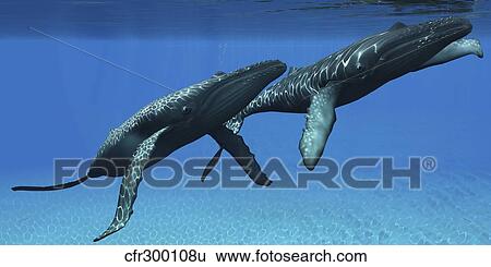 Two humpback whales come to the surface of ocean waters to breath. View Large Illustration Stock Illustration - Two humpback whales come to the surface of ocean waters to breath.. Fotosearch