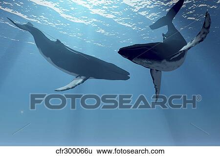 Stock Illustration - Two humpback whales frolic in the rays of light from the sun.. Fotosearch
