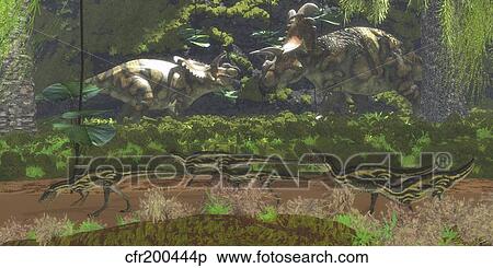Stock Illustration - Two large Albertaceratops dinosaurs having a disagreement.. Fotosearch