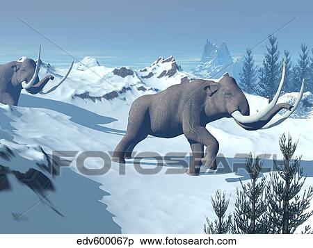 Stock Illustration - Two large mammoths walking slowly on the snowy mountain.. Fotosearch