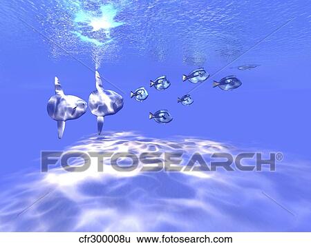 Two large sunfish swim with a group of Blue Tango fish. View Large Illustration Stock Illustration - Two large sunfish swim with a group of Blue Tango fish.. Fotosearch