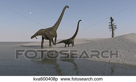 Two Mamenchisaurus roaming along the shoreline. View Large Illustration Stock Illustration - Two Mamenchisaurus roaming along the shoreline.. Fotosearch