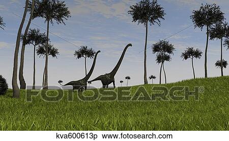 Two Mamenchisaurus walking across a grassy field. View Large Illustration Stock Illustration - Two Mamenchisaurus walking across a grassy field.. Fotosearch