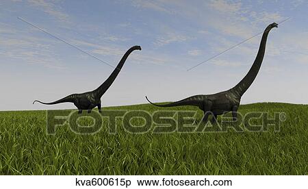 Stock Illustration - Two Mamenchisaurus walking across a grassy field.. Fotosearch