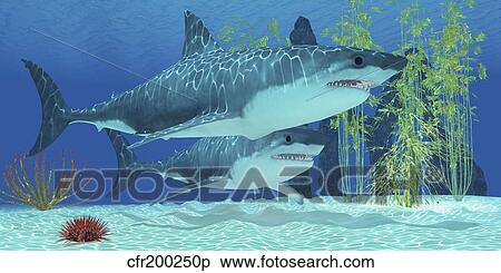 Stock Illustration - Two Megalodon sharks from the Cenozoic Era.. Fotosearch