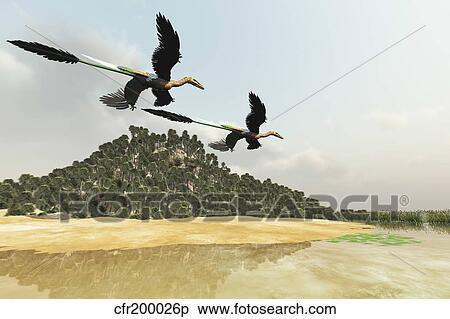 Stock Illustration - Two Microraptor dinosaurs fly over a wetland marsh in prehistoric times.. Fotosearch