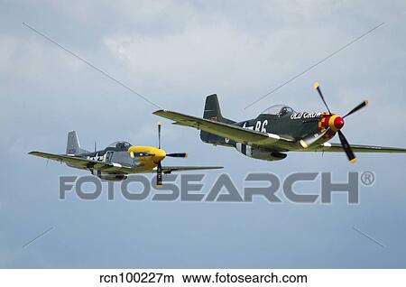 Two P-51D Mustangs in United States Army Air Corps colors. View Large Photo Image Picture - Two P-51D Mustangs in United States Army Air Corps colors.. Fotosearch