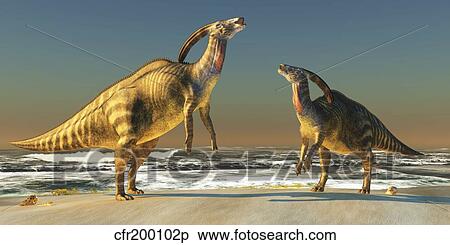 Two Parasaurolophus dinosaurs bellow at each other. View Large Illustration Stock Illustration - Two Parasaurolophus dinosaurs bellow at each other.. Fotosearch