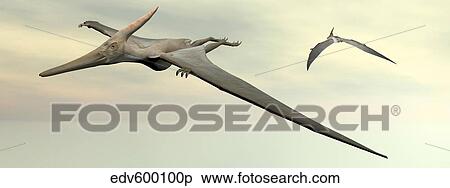 Two pteranodon dinosaurs flying in cloudy sky. View Large Illustration Stock Illustration - Two pteranodon dinosaurs flying in cloudy sky.. Fotosearch