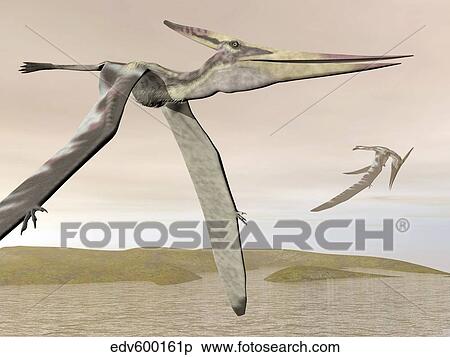 Two pteranodons flying over small islands. View Large Illustration Stock Illustration - Two pteranodons flying over small islands.. Fotosearch
