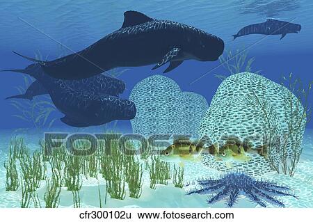 Two rockfish watch cautiously as a pod of pilot whales swim past a coral reef. View Large Illustration Stock Illustration - Two rockfish watch cautiously as a pod of pilot whales swim past a coral reef.. Fotosearch