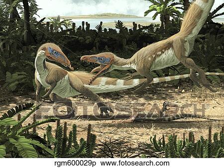 Two Sciurumimus albersdoerferi fighting for the carcass of a lizard. View Large Illustration Stock Illustration - Two Sciurumimus albersdoerferi fighting for the carcass of a lizard.. Fotosearch