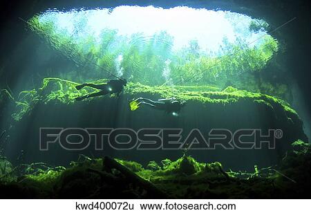 Stock Photograph - Two scuba divers in the cenote system on the Yucatan Peninsula of Mexico.. Fotosearch