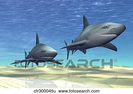Two sharks on patrol over a sandy reef. View Large Illustration Stock Illustration - Two sharks on patrol over a sandy reef.. Fotosearch