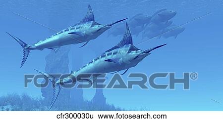 Stock Illustration - Two sleek Blue Marlins swim close to a school of fish.. Fotosearch