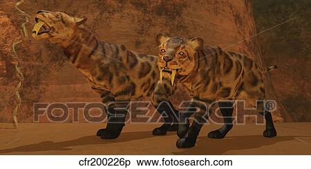 Two Smilodon cats find protection in a vast cave system. View Large Illustration Stock Illustration - Two Smilodon cats find protection in a vast cave system.. Fotosearch