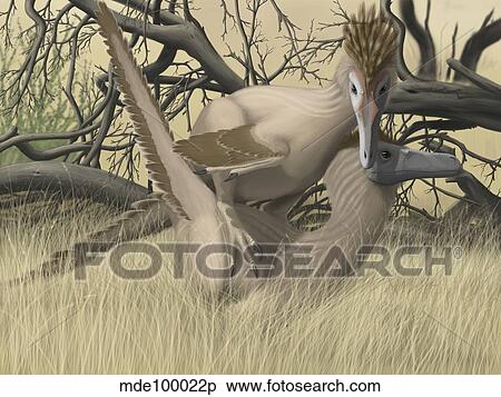 Two Velociraptor's during mating season. View Large Illustration Stock Illustration - Two Velociraptor's during mating season.. Fotosearch