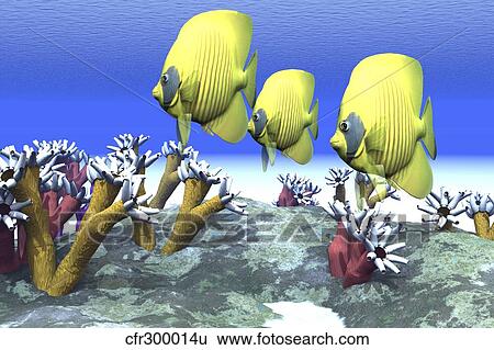 Stock Illustration - Two yellow butterflyfish swim among the sea anemone.. Fotosearch