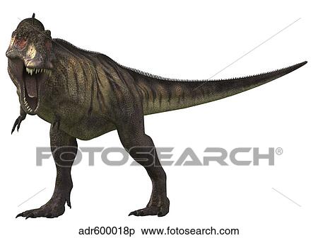 Tyrannosaurus の Rex A 大きい 肉食動物 の Cretaceous Period イラスト Adrp Fotosearch