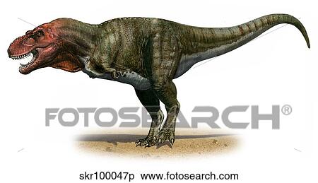 Tyrannosaurus rex, a prehistoric era dinosaur. View Large Illustration Stock Illustration - Tyrannosaurus rex, a prehistoric era dinosaur.. Fotosearch