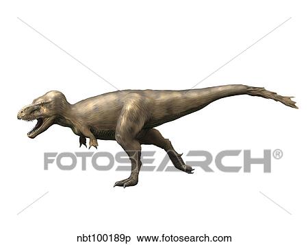 Tyrannosaurus rex dinosaur on white background. View Large Illustration Stock Illustration - Tyrannosaurus rex dinosaur on white background.. Fotosearch