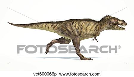 Stock Illustration - Tyrannosaurus Rex dinosaur on white background.. Fotosearch
