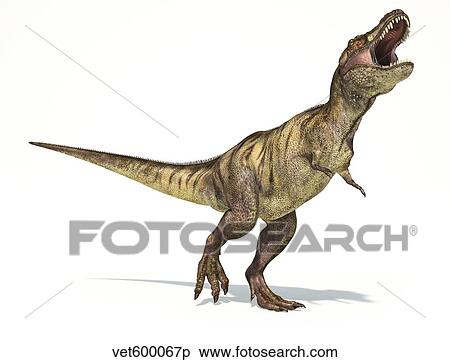 Tyrannosaurus Rex dinosaur on white background. View Large Illustration Stock Illustration - Tyrannosaurus Rex dinosaur on white background.. Fotosearch