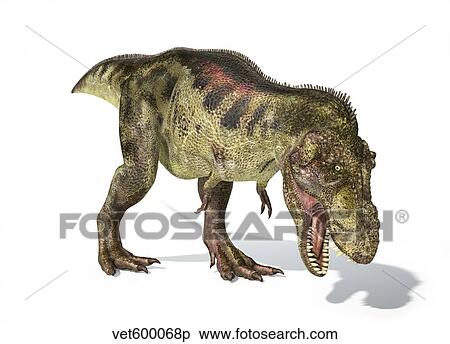 Tyrannosaurus Rex dinosaur on white background. View Large Illustration Stock Illustration - Tyrannosaurus Rex dinosaur on white background.. Fotosearch